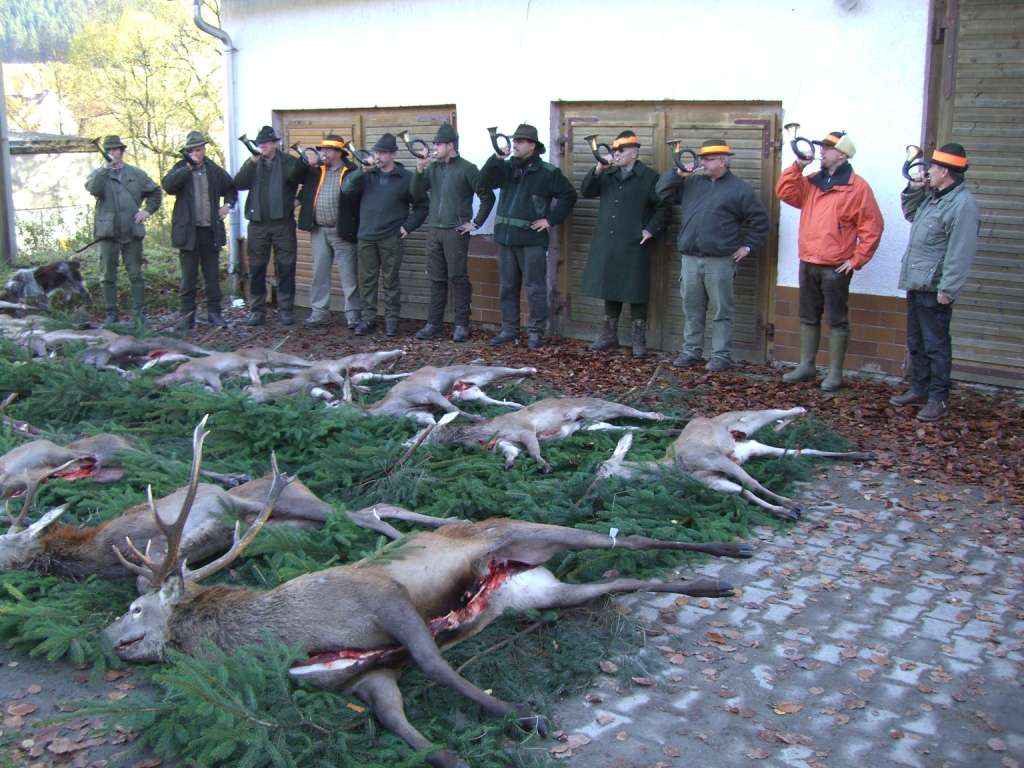 http://www.jagdhorn.org/media/Thueringen/Jagd Nauhaus 024.jpg